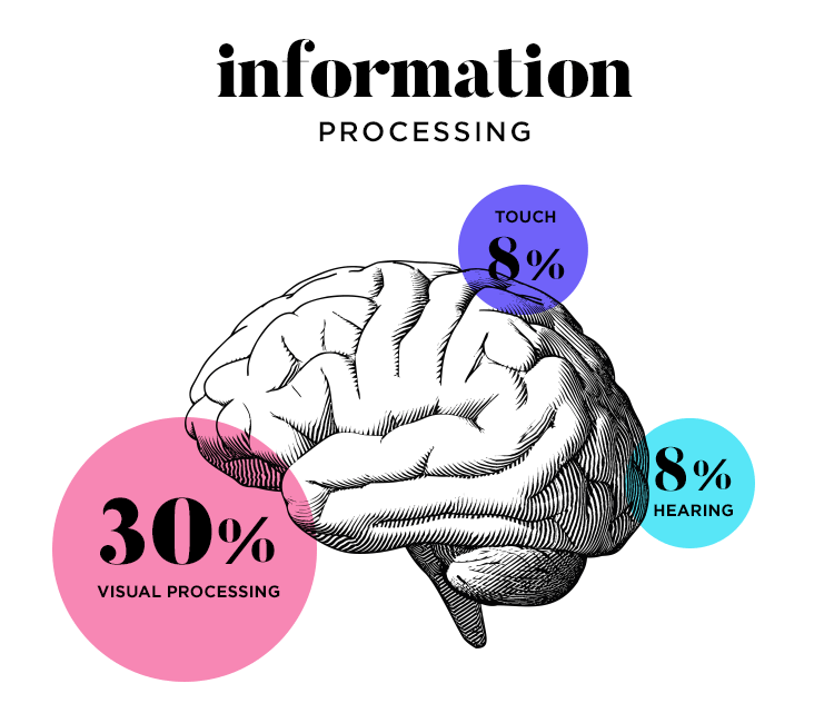 Visual storytelling - information processing in the human brain